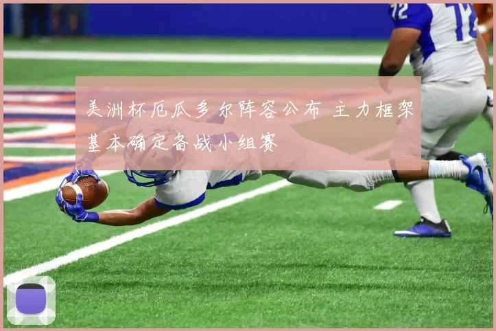 美洲杯厄瓜多尔阵容公布 主力框架基本确定备战小组赛