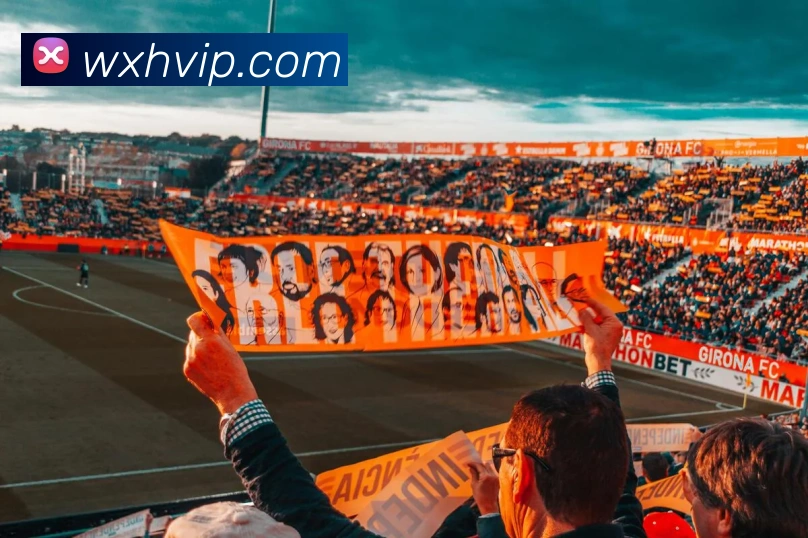 多媒体互动体验